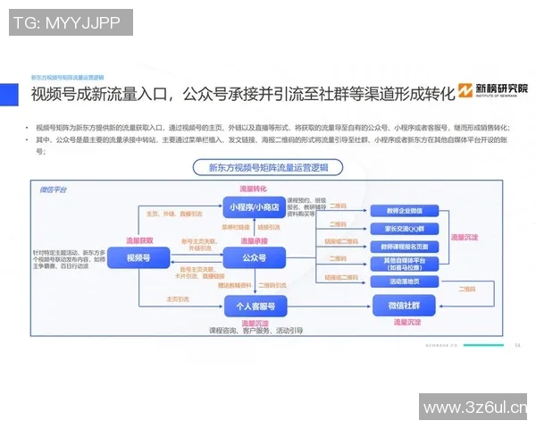 深入解析CSGO战术中的IG运营体系与团队协作策略